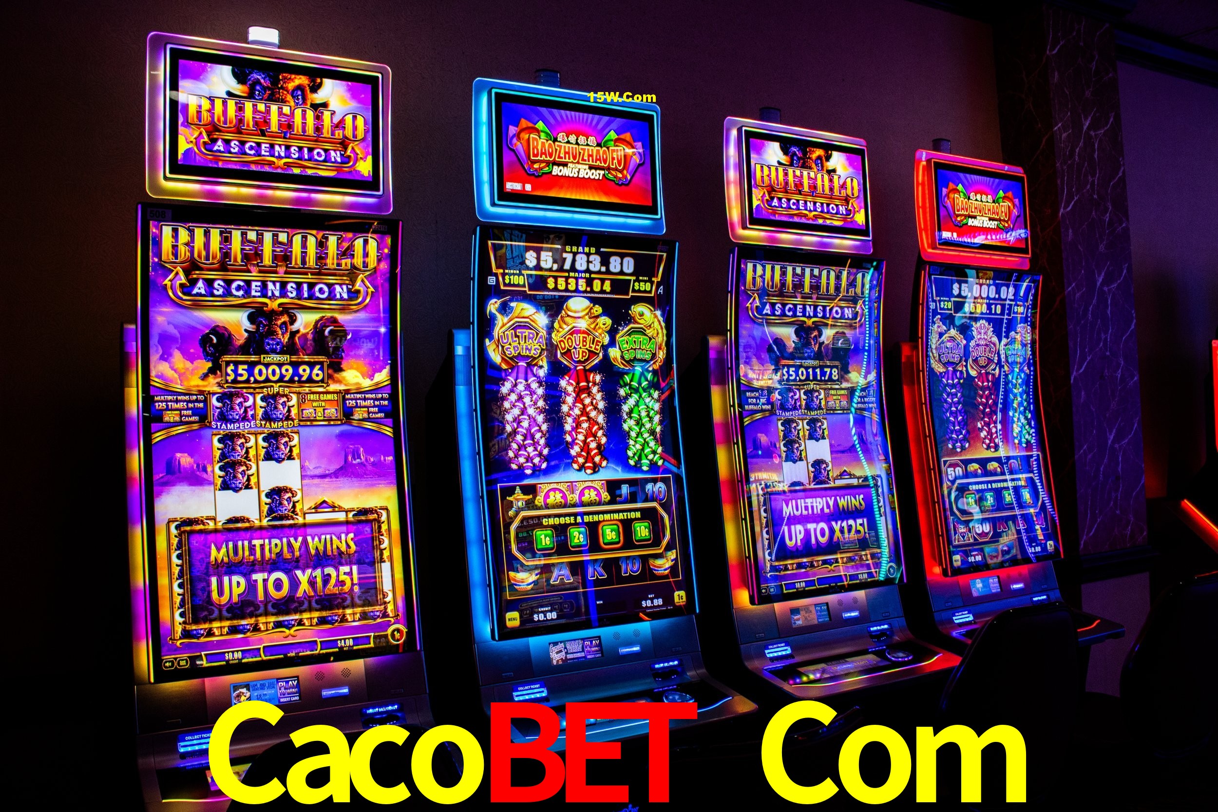 Live Casino Cacobet Com